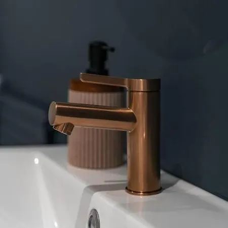 Cocon Clermontois - Moderne Et Cosy * 克莱蒙费朗