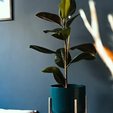 Cocon Clermontois - Moderne Et Cosy 克莱蒙费朗