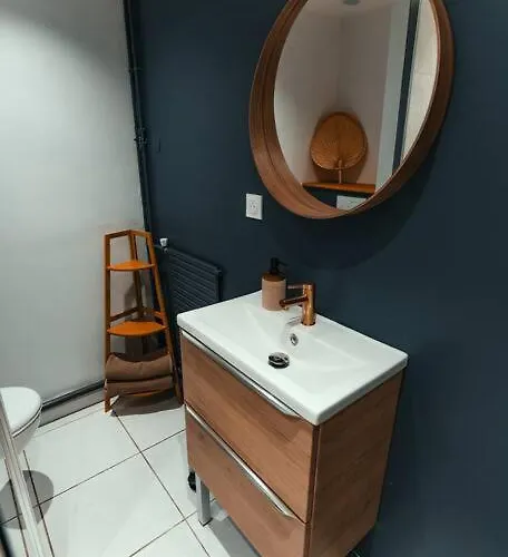 Apartament Cocon Clermontois - Moderne Et Cosy Clermont-Ferrand